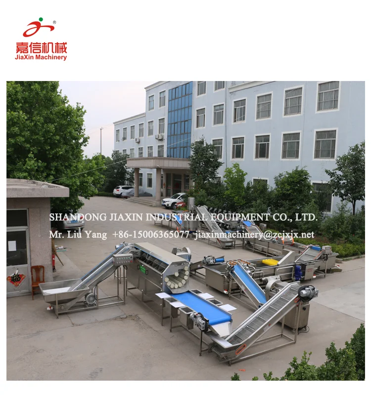 Hot sale fruit and vegetable washing equipment machine line