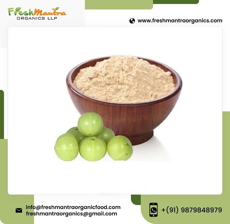Pure Indian Goosebeery Powdered Form from Medicinal Herbal Plant boosts Immunity and Metabolism Wholesale Supply