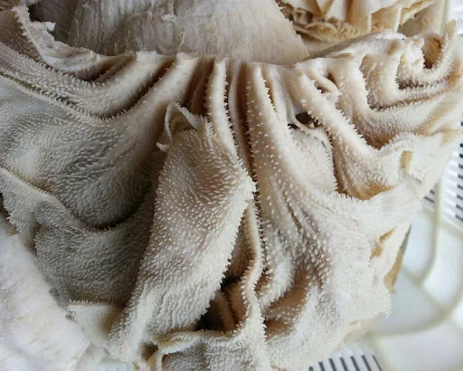 Wholesale Beef Frozen Omasum / Dry salted omasum Frozen Beef / Frozen beef tripe, frozen cow stomach, beef tripes cleaned