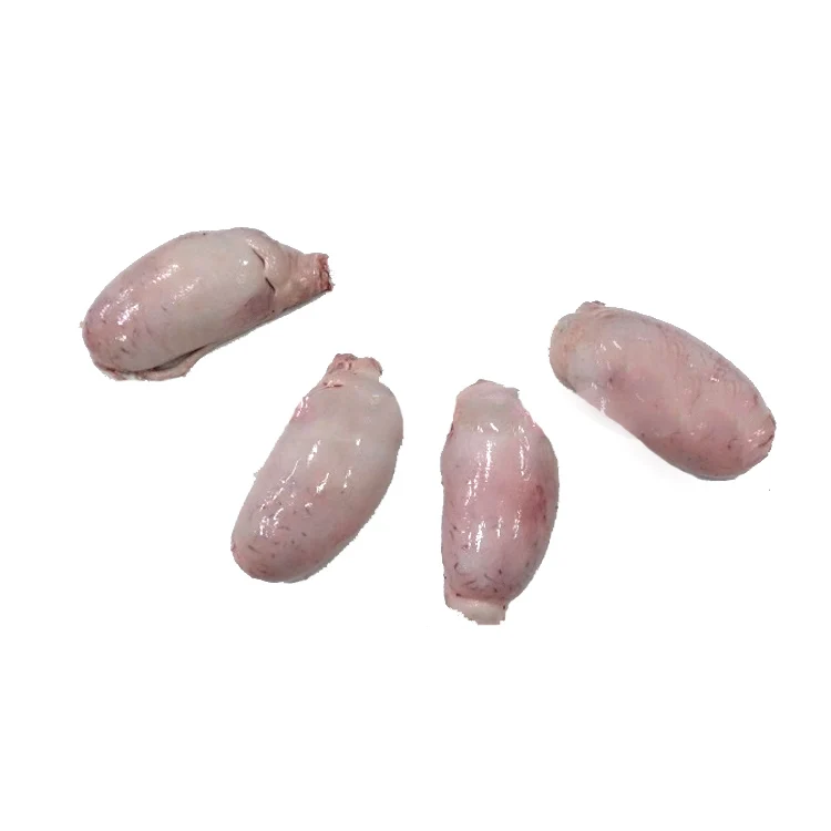 Frozen Beef Testicles Halal/Cow Frozen Body Parts Frozen Beef / SIF approved Frozen beef cuts wholesale