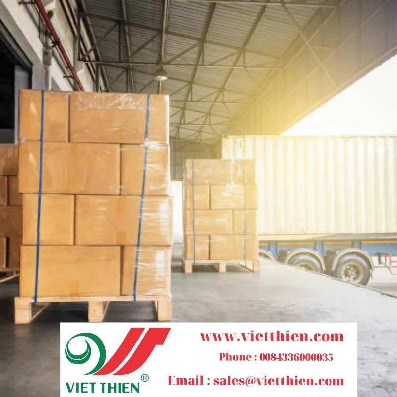 
Black bean with green yolk grown in Vietnam is a cheap quality food that brings golden health and cures many diseases 