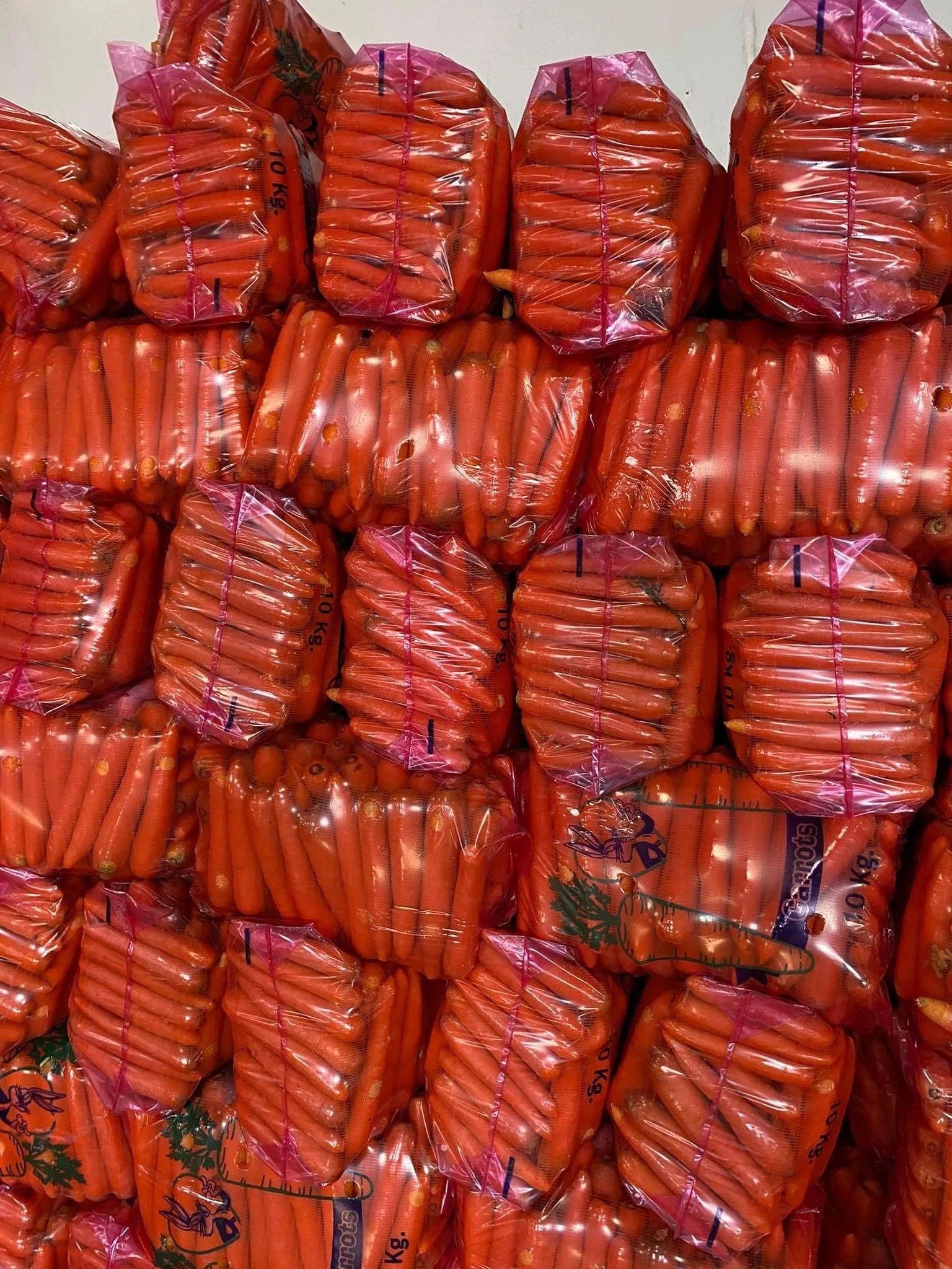 Fresh Carrot from Turkey