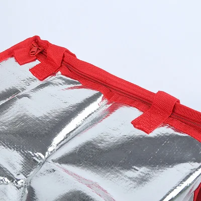 Foldable Cooler Bag Lunch Basket Picnic Insulated Large Capacity Waterproof Backpack Food Custom