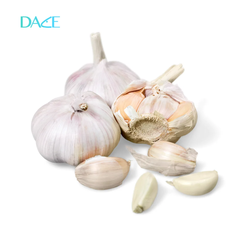 High Quality Fresh Garlic from Vietnam Single spices & herbs with hot selling garlic offer for garlic wholesale buyer