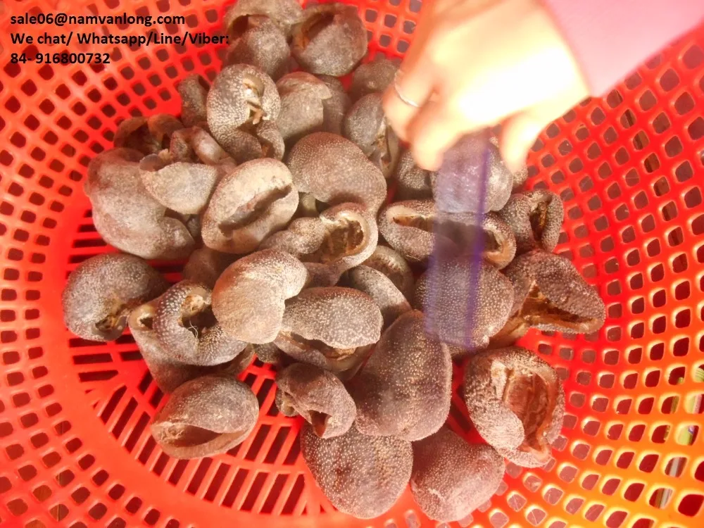 Высококачественный вкусный сушеный морской огурец по низкой цене из Вьетнама/натуральный сухой