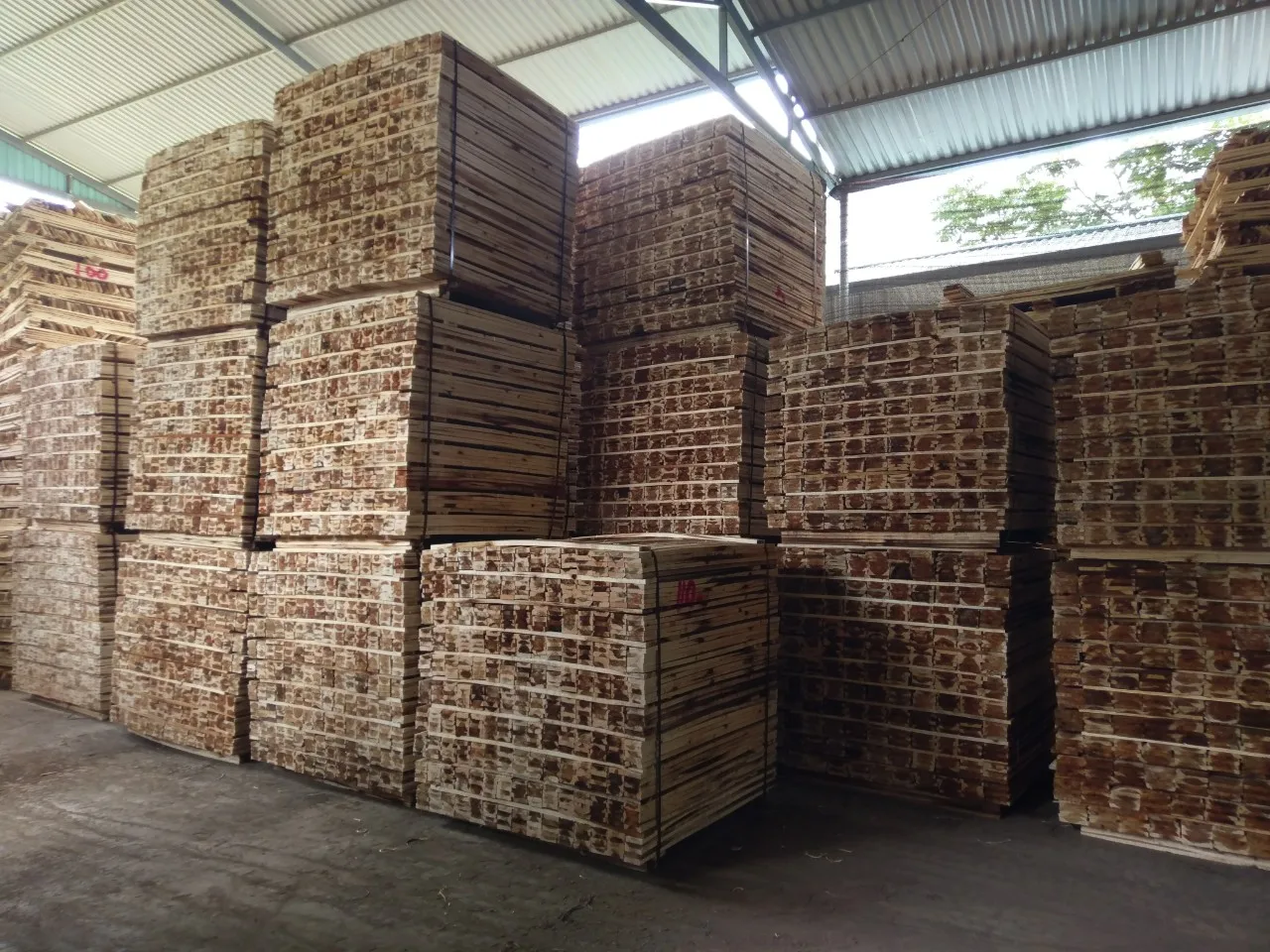 ACACIA SAWN TIMBER / ACACIA WOOD / LOW PRICE & HIGH QUALITY