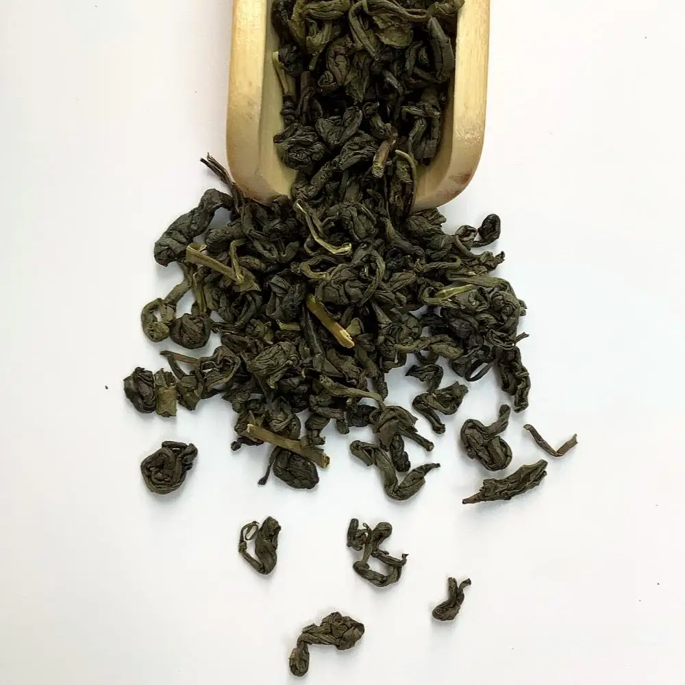 Gun powder Green tea Affordable price High quality standards