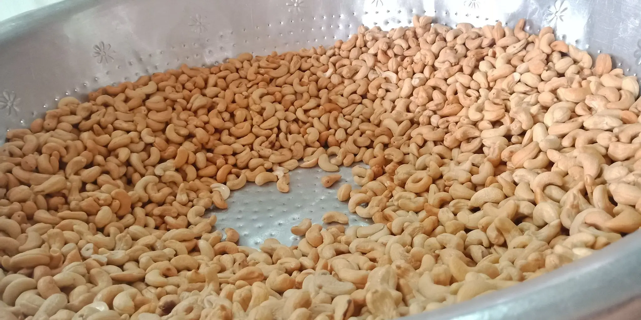 [New Season] Cashew Nuts SW320 SW240 From Vietnam Hot Sale Cheap Price High Grade Quality