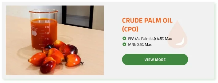 Product Categories 3.jpg