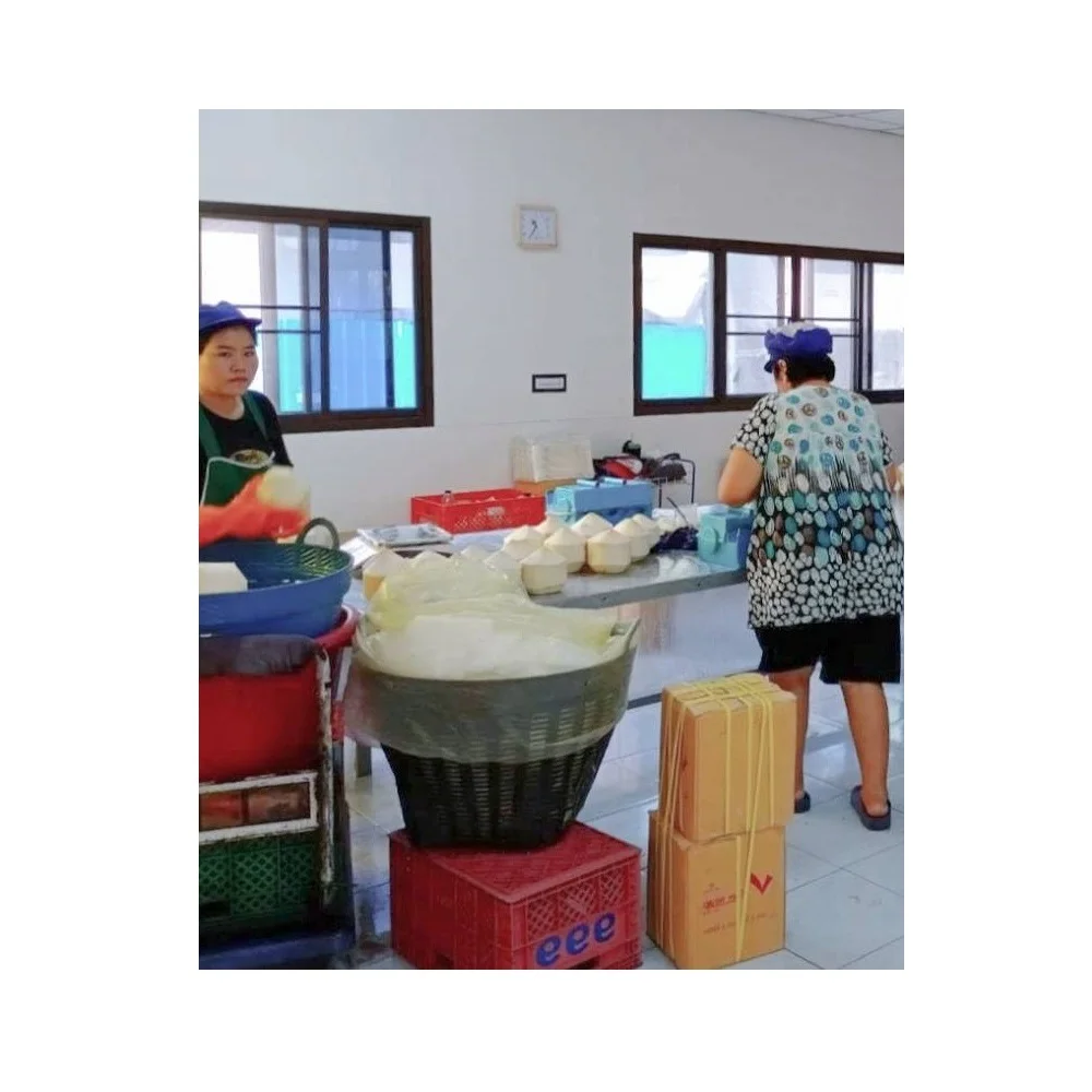 High Quality 720 - 900 g Weight Carton Packing  coconut fresh coconut young coconut- cocobe export from Thailand