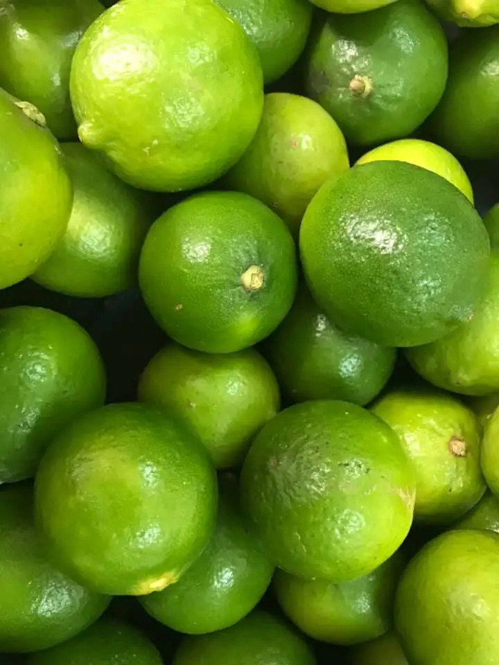 Свежие Цитрусовые фрукты OEM стиль экспортер качество конкурентоспособная цена индивидуальная поддержка вкус IQF процесс замороженный Лайм пюре из