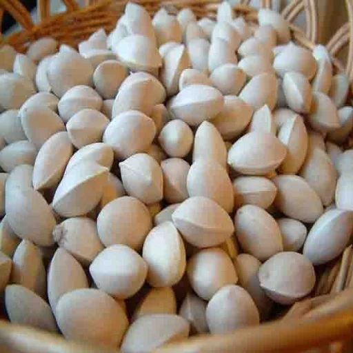 Natural Quality Best Price Raw Ginkgo Nuts Available In Bulk