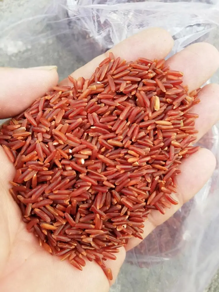 New Crop Long Grain Red Rice Vietnamese Rice  Wholesale Rice With ISO ITS Certification For Export