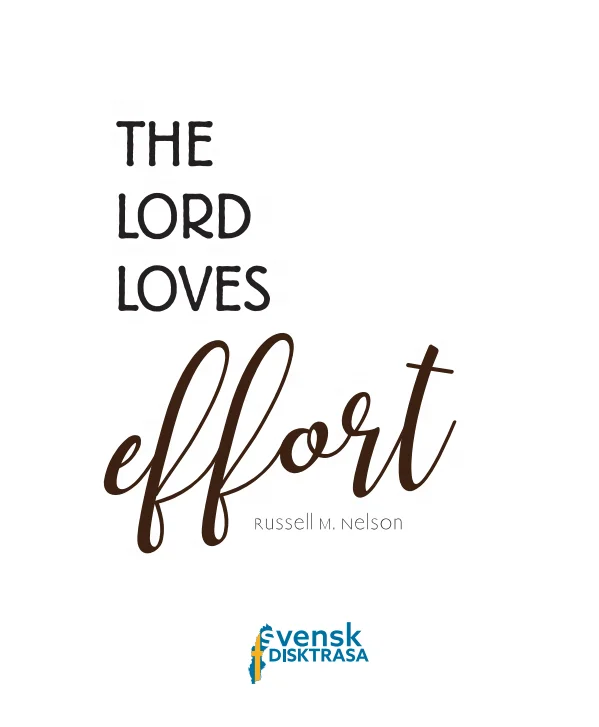 
Swedish Dishcloth Customized Logo Item 