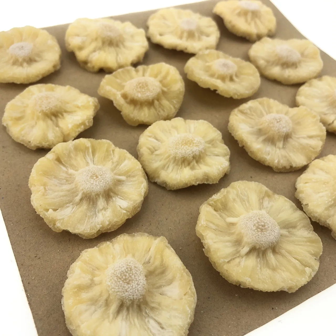 DEHYDRATED DRIED PINEAPPLE BABY RING