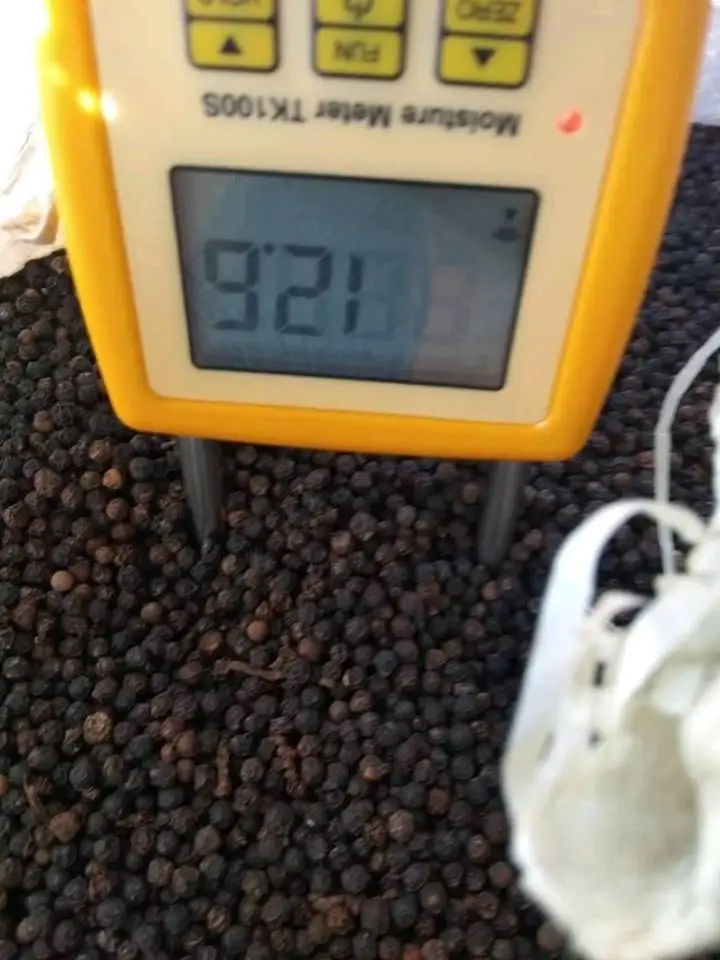 Вьетнамский сушеный черный перец ASTA 500GL-550GL Прямая поставка с завода Schwarzer lada hitam Pfeffer Высококачественная продукция по лучшим ценам