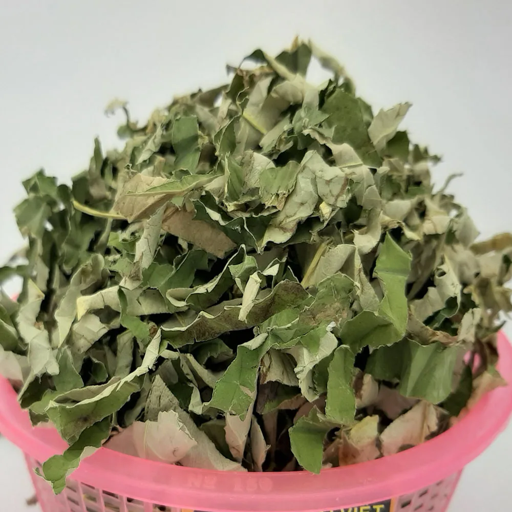 Лидер продаж экстракт листьев лотоса по лучшей цене // Ms Sofia + 84 789 946 878