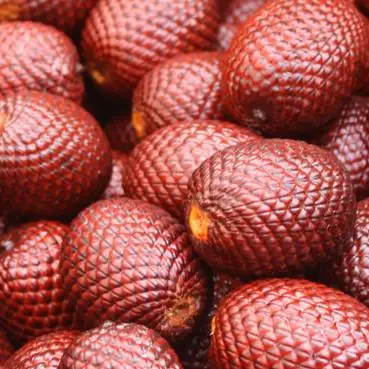 
AGUAJE FRUIT powder for wholesale and exports 