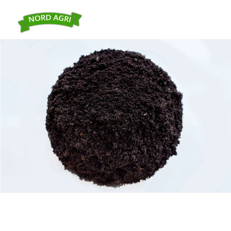 High Quality Peat Moss Sphagnum Substrate Garden Plant at Low Market Price