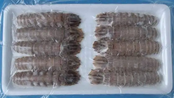 Frozen Mantis Shriimp Indonesian Seafood