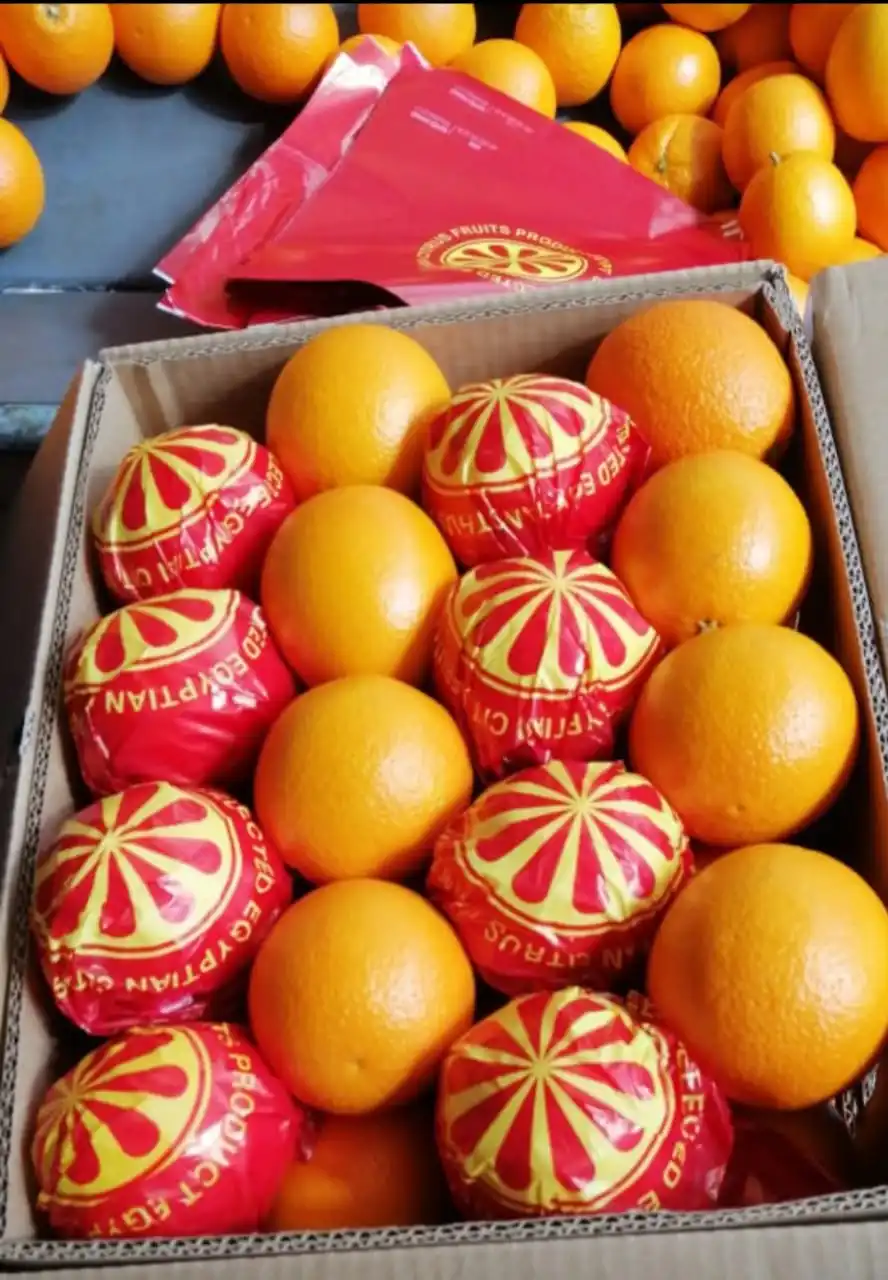 common fresh Egyptian orange