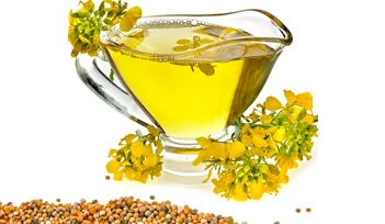 Pure Fennel Seed Essential Oil For Aromatherapy at Cheap Price from India