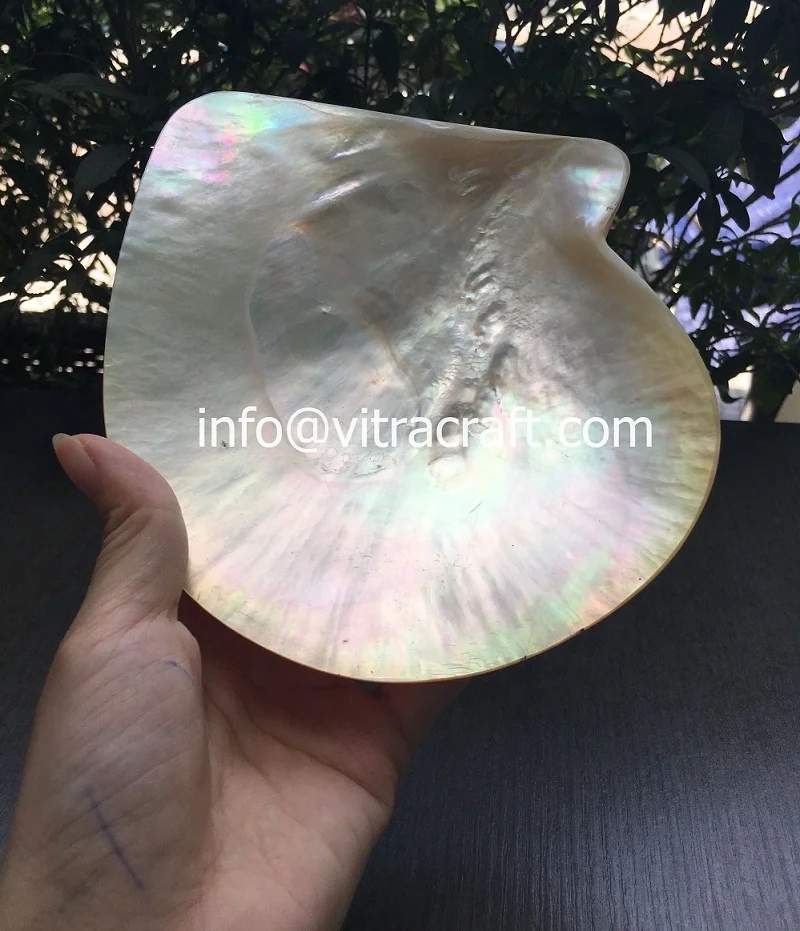 ELEGANT& ROYAL GOLD Pearl Plate , Mother Of Pearl Plate, Caviar Mop Dish.Made entirely from natural mussel shells