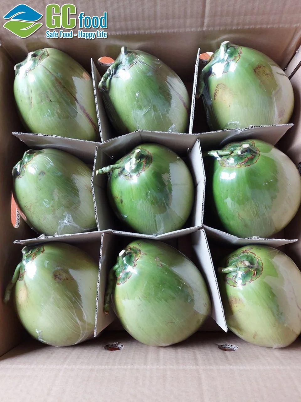 High Quality from VietnamFresh Young Coconut Premium Tropical - 100% organic fresh coconut