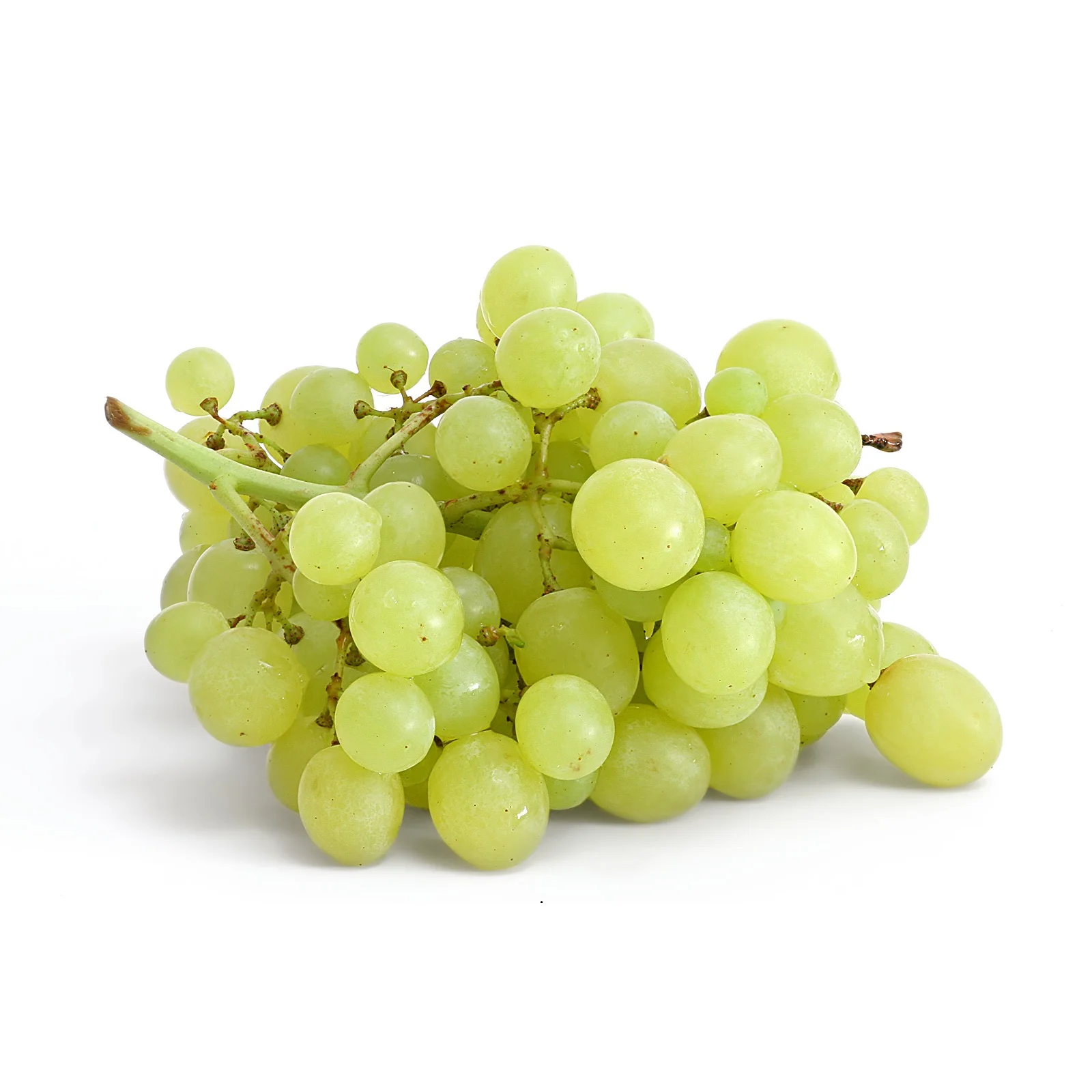 
Sweet Shine Green Grapes / Black Grapes / Red Grapes for Wholesale 100% Natural Seedless Grape Fresh COMMON Cultivation from AU 
