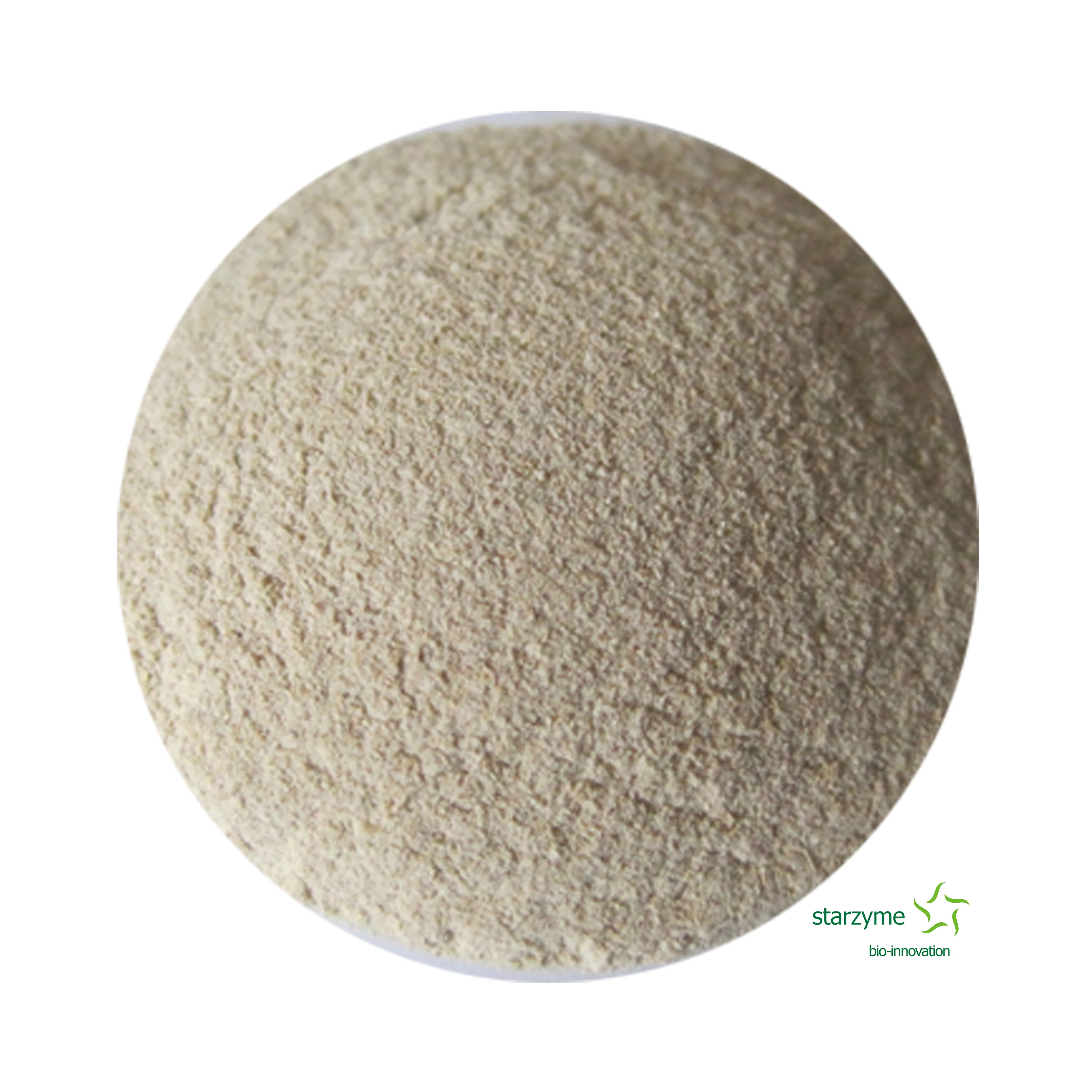 
Fungal Alpha Amylase Enzyme Factory 
