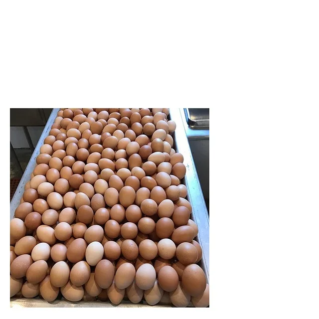 Куриные яйца, желток, свежие яйца для продажи