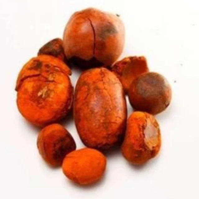 
WELL SELECTED OX COW GALLSTONE FOR SALE AT CHEAP PRICE 