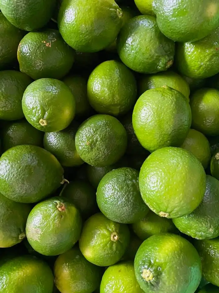 Green Fresh Seedless Lime  Fresh Seedless Lemon From Vietnam 0084947900124