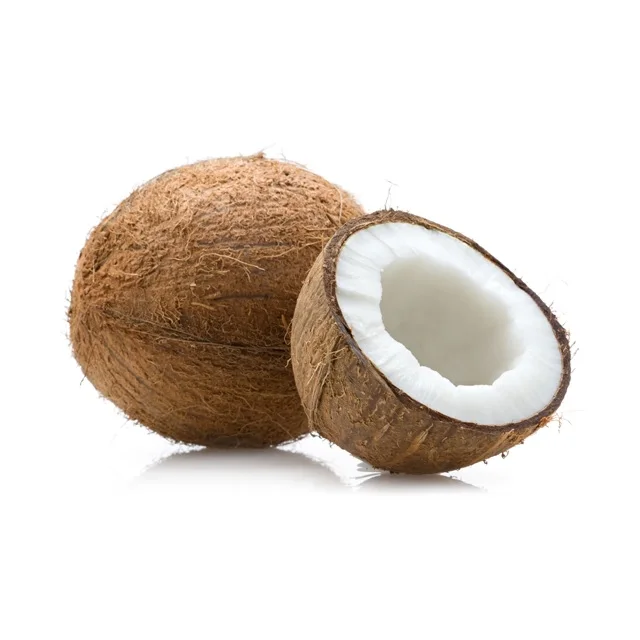 Delicious Nutritious & Organic semi husked coconut buyers and suppliers manufacturers traders from india