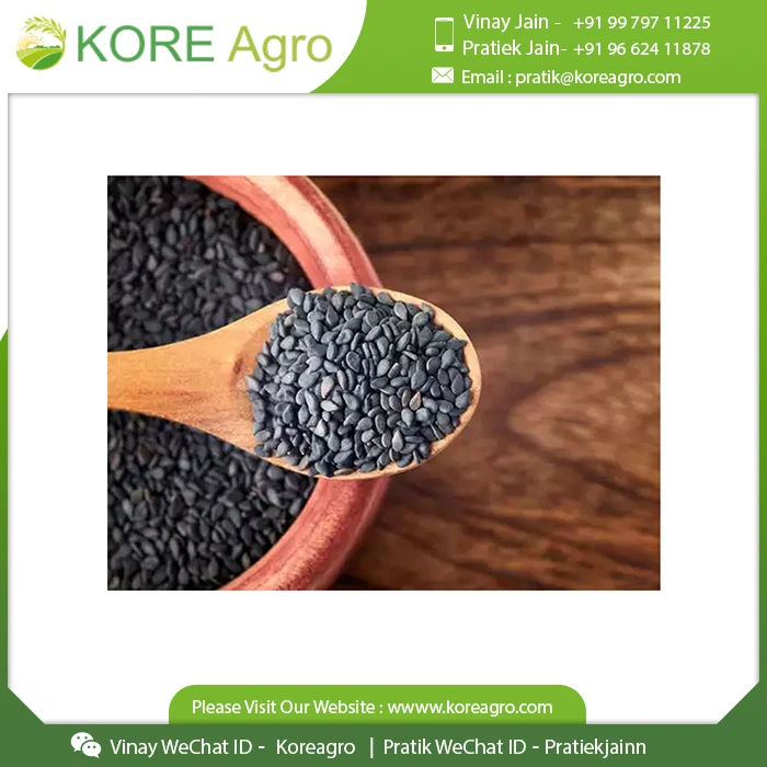 Premium Roasted Black Sesame Seed Natural Good Taste Black Sesame Price Roasted Wholesale Sesame Seeds