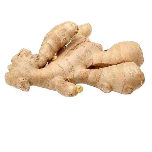 Premium Quality Fresh Ginger From Thailand Agricultural Products Wholesale Fresh Vegetables 10 Kg Per Carton