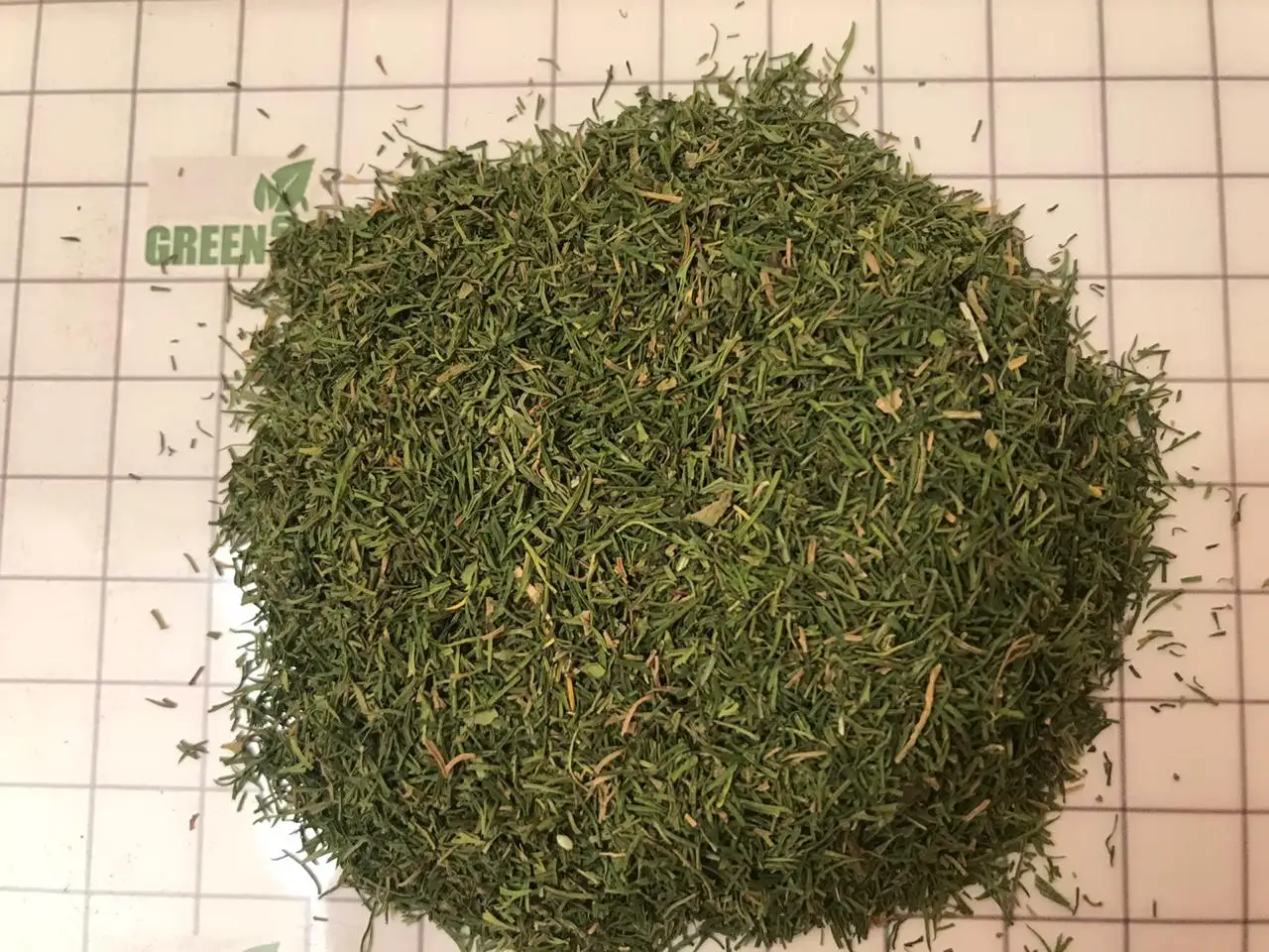 dill  weeds light green color no ash content no admixture  no impurities Anethum graveolen high quality  fresh crops