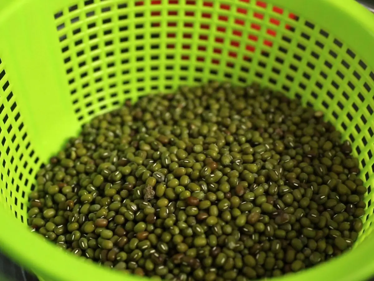 GOOD PRICE Dried Green Mung Bean with high quality from Vietnam - ATL GLOBAL