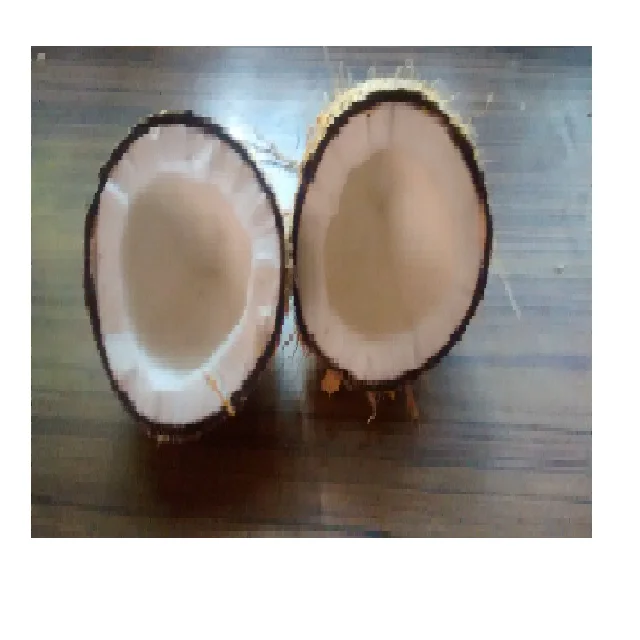 brazil nut / Coconut / semi husk coconut  we supply mature nuts  with regular packing and customised packing