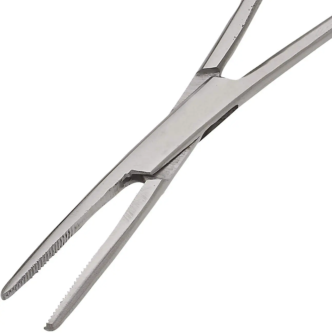 Pair of Fishing Forceps, Straight and Curved, Stainless Steel - Ideal Fishing Pliers for Any Fishing Tackle Kit