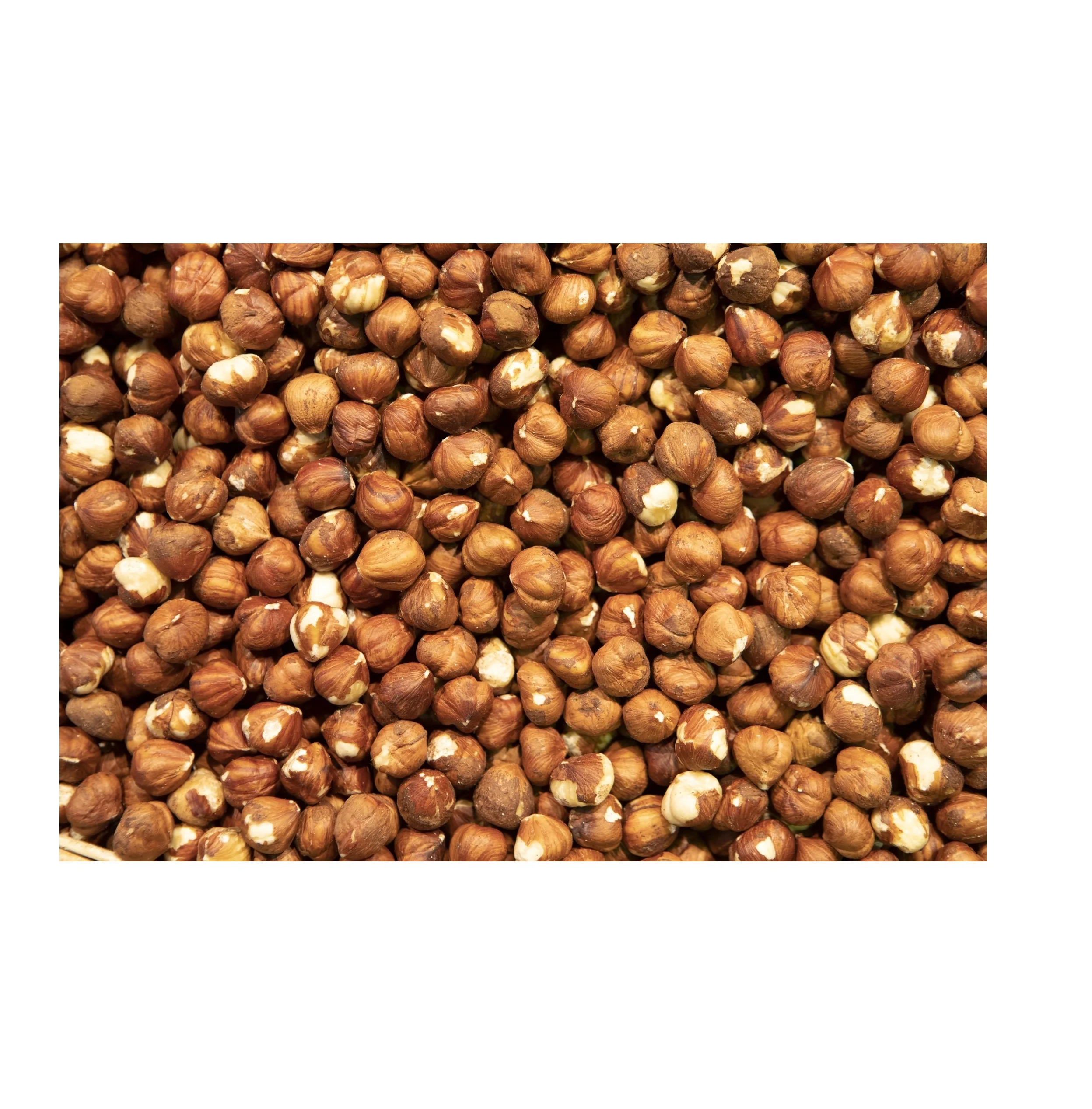 Wholesale Best Quality Hazelnut For Sale In Cheap Price