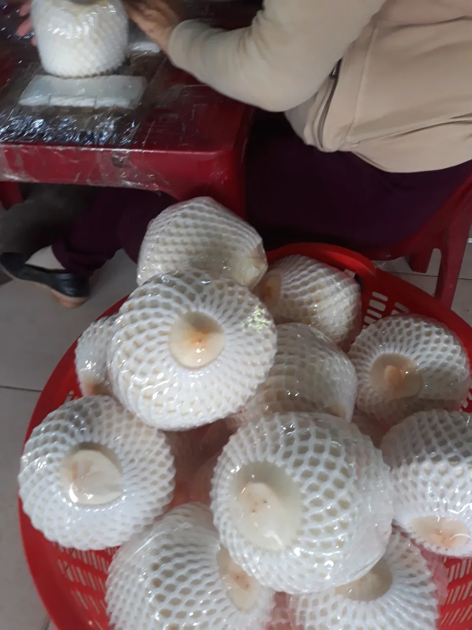 100% Natural Wholesale Coconut / Fresh Matured Coconut whatsapp +84 966208131