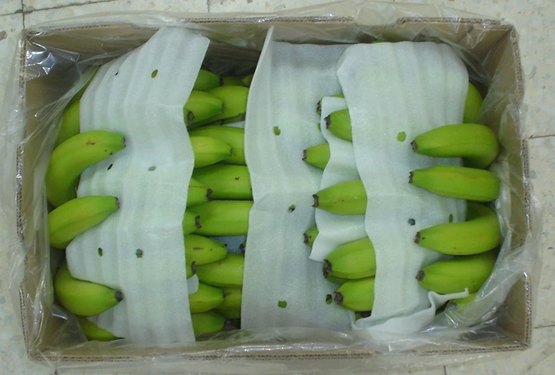 Vietnamese Cavendish Bananaare rich in nutrients for the body and are exported to the EU, ASIA markets and many other countries.