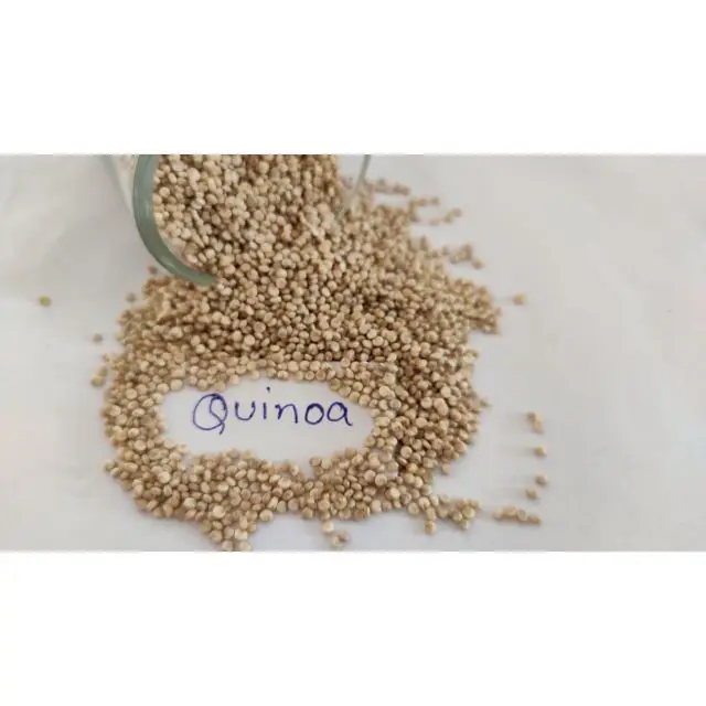  Цена белых семян Quinoa оптом из