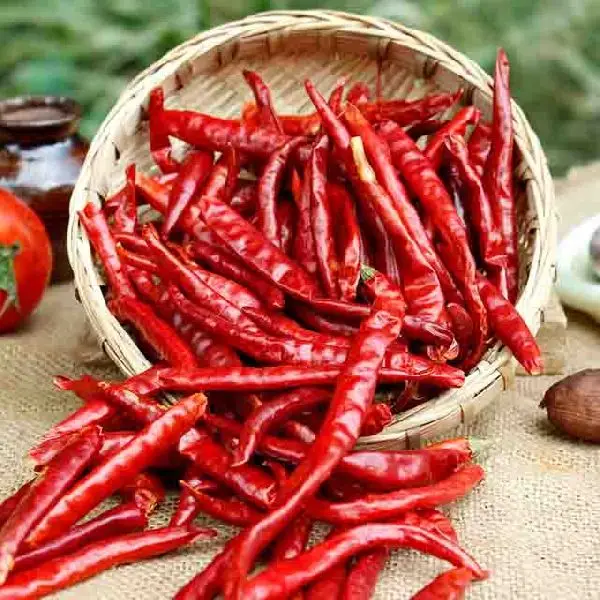 Сушеный красный перец чили порошок сухой соус от