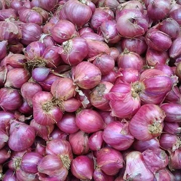 Red Onion Fresh Red Onion
