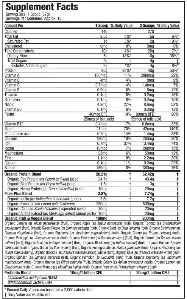 supplement fitness plant soy based rice pumpkin seed  vegan pea shake protein powder