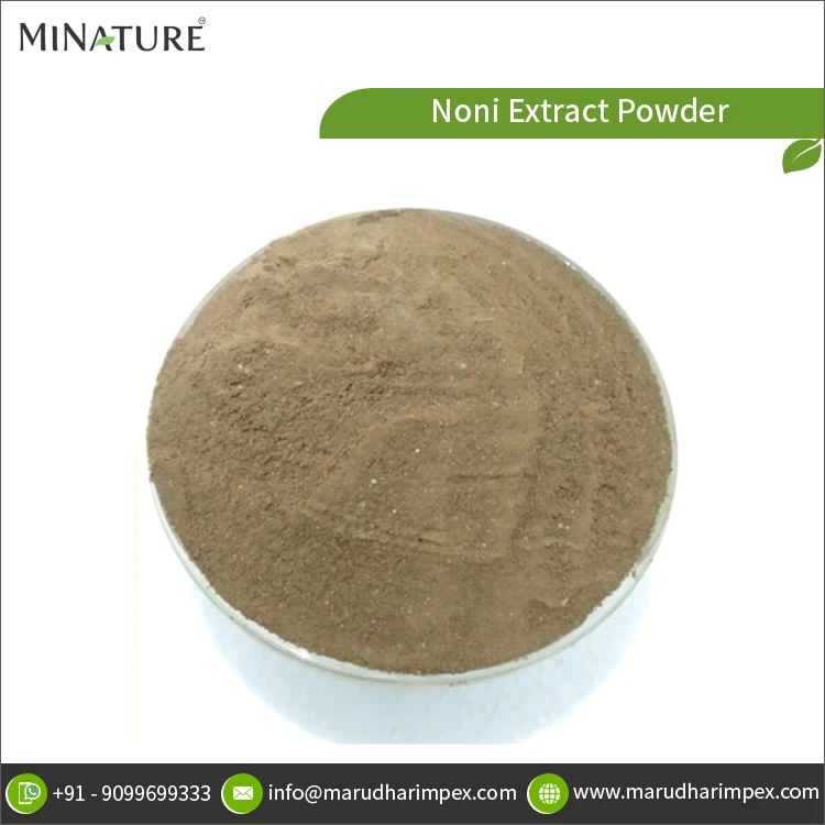 Оптовый Поставщик хорошего качества оптовая продажа чистый порошок экстракта моринды цитрифолистной нони по надежной рыночной цене