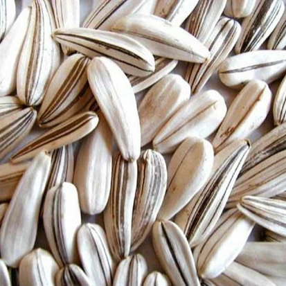 sunflower seeds for humans feed