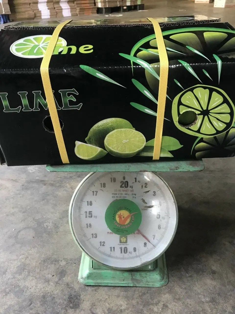 Lemon Seedless, Top Quality Product From Vietnam 2022, lulu lemon  lemon squeezer stainless steel